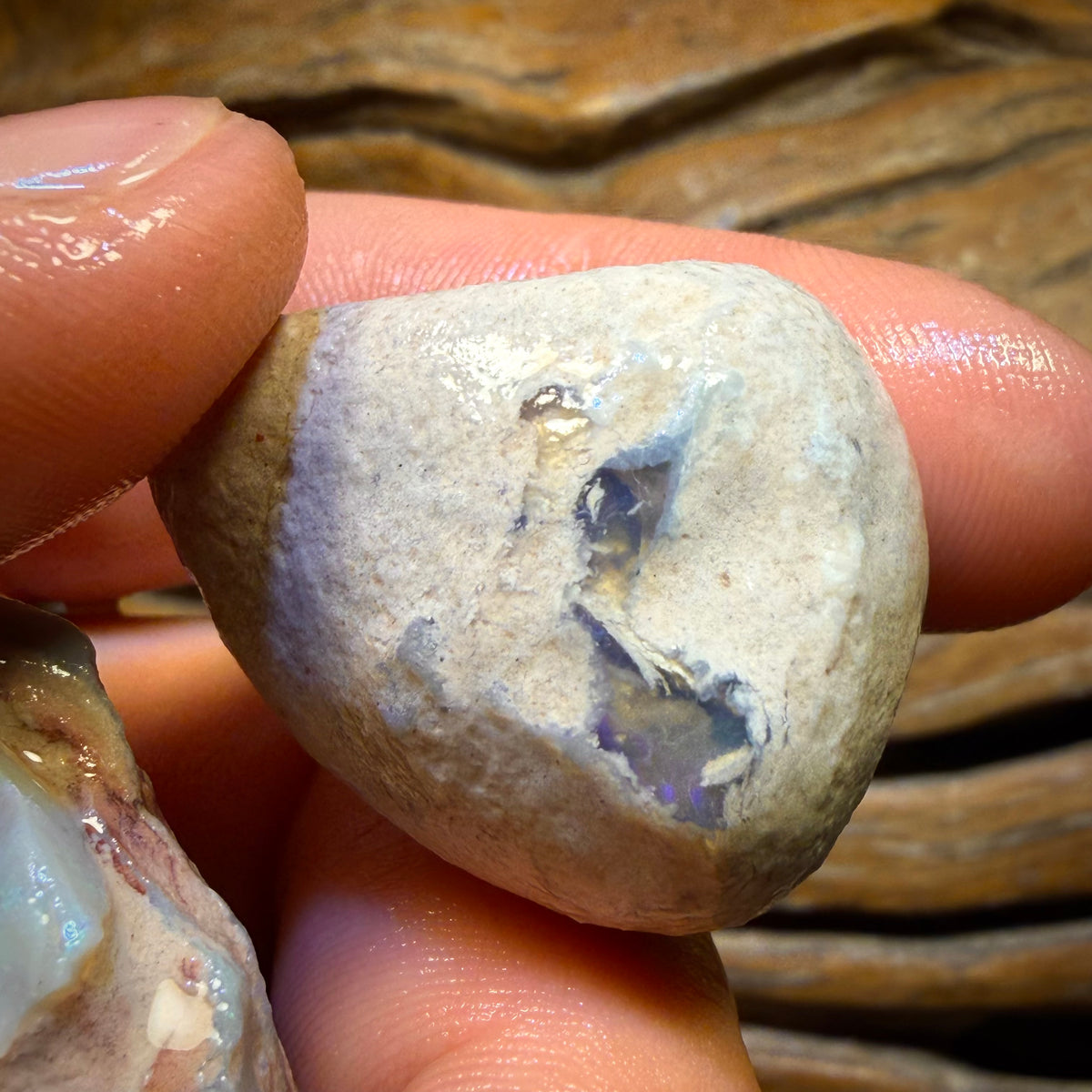 195.8cts - 3x Lightning Ridge Opal Rough Parcel