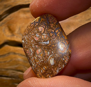 Auction Fall-Through = Your Gain! 🔥 Now More Than 50% Off RRP 🚨 22.8cts - Yowah Nut Tribal Opal Picture Stone