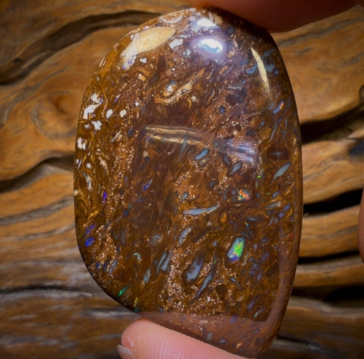 177.1cts - Queensland Boulder Opal from Yowah