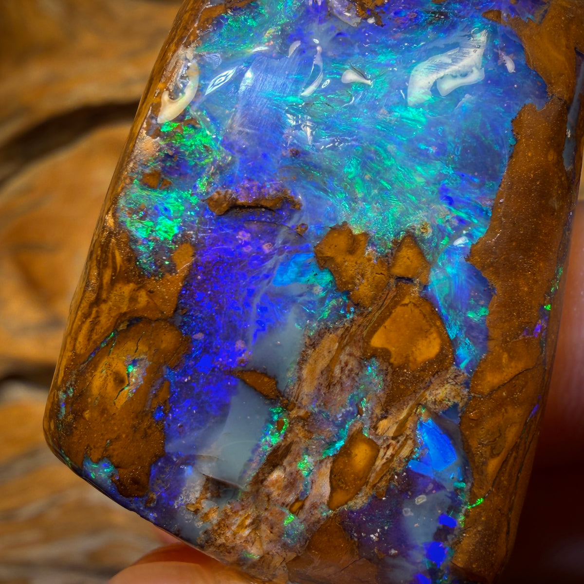 272.5cts - Wow Wow Wow Massive Investment Opal Rub. Featured on ‘OUTBACK OPAL HUNTERS’!!