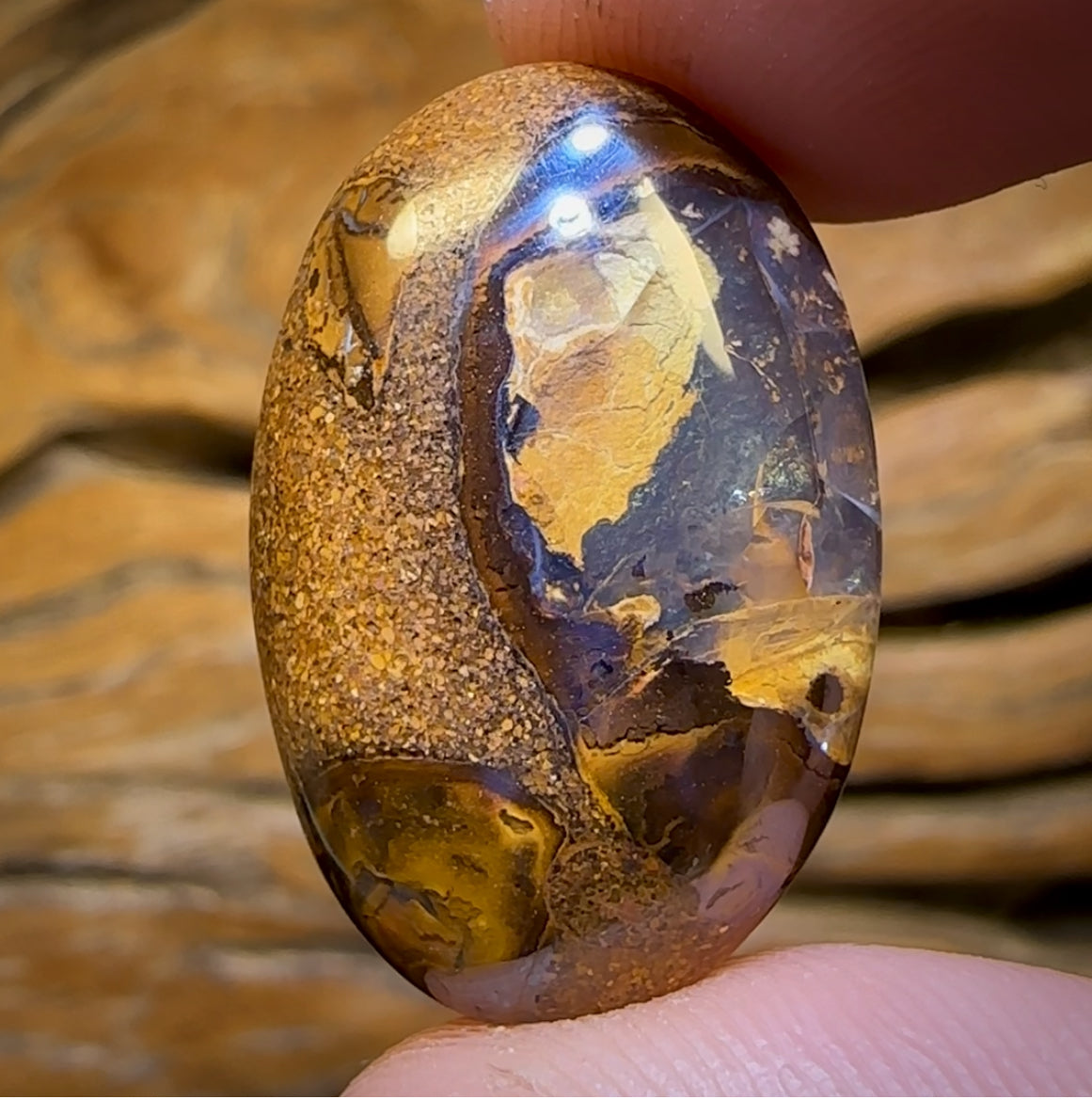 🔨 AUCTION 🔨 No Reserve 20.3cts - Yowah Nut Kernel Opal. Australian Boulder Opal