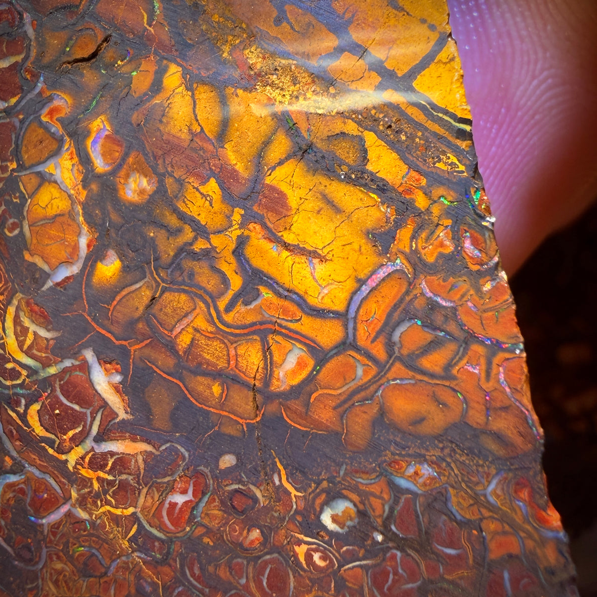 659,6ct – 3x Yowah Nuss Rohopal-Konvolut. Australischer Opal (Schnäppchen 0,25c/ct)