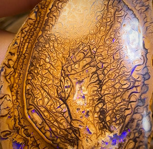 209.4cts - “Tribal Leaves” Yowah Nut Opal Polished Specimen Pair