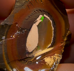 202.4cts - Big Yowah Nut Crystal Centre Rough Pair BARGAIN