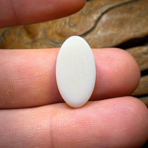 Alex Enchères 7,2 ct - Opale blanche d'Australie du Sud