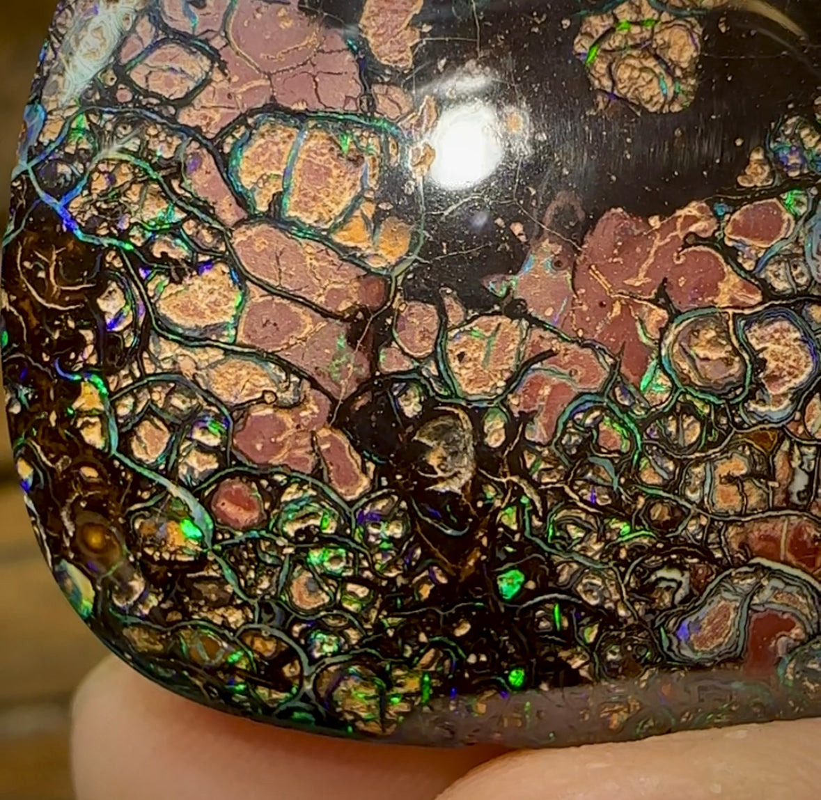 82.3cts - Australian Boulder Opal. Top Tight Tribal Pattern - Opal Whisperers