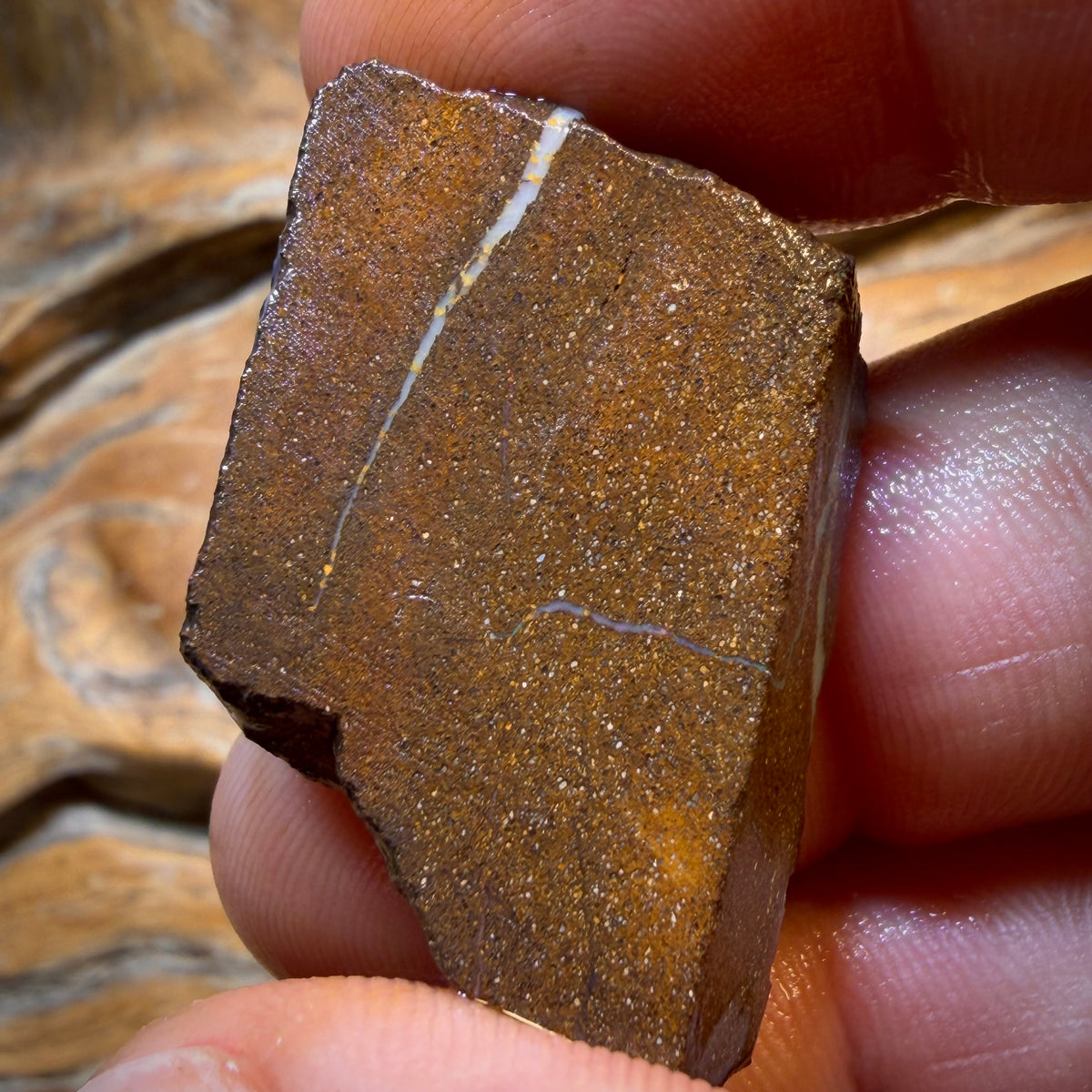 Dad Card! 66.3cts - Queensland Boulder Seam Opal Rough Piece. Natural Split