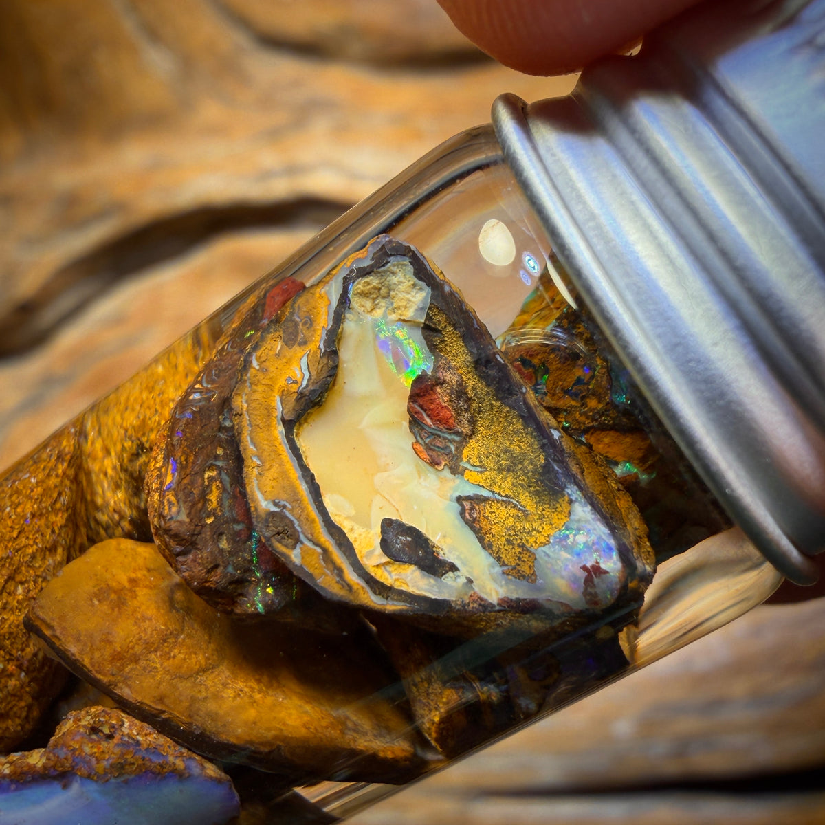 77.1cts - Jar of Yowah Nut Opal Rough w/ Fossil Opal