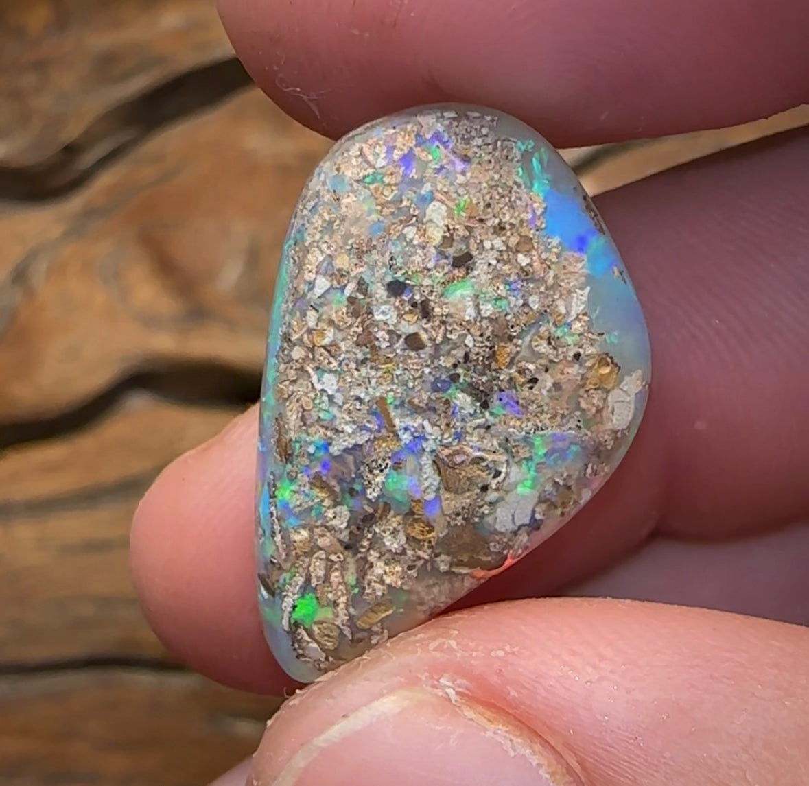 16.55cts - GEM Solid QLD Boulder Pipe Crystal Opal - Opal Whisperers