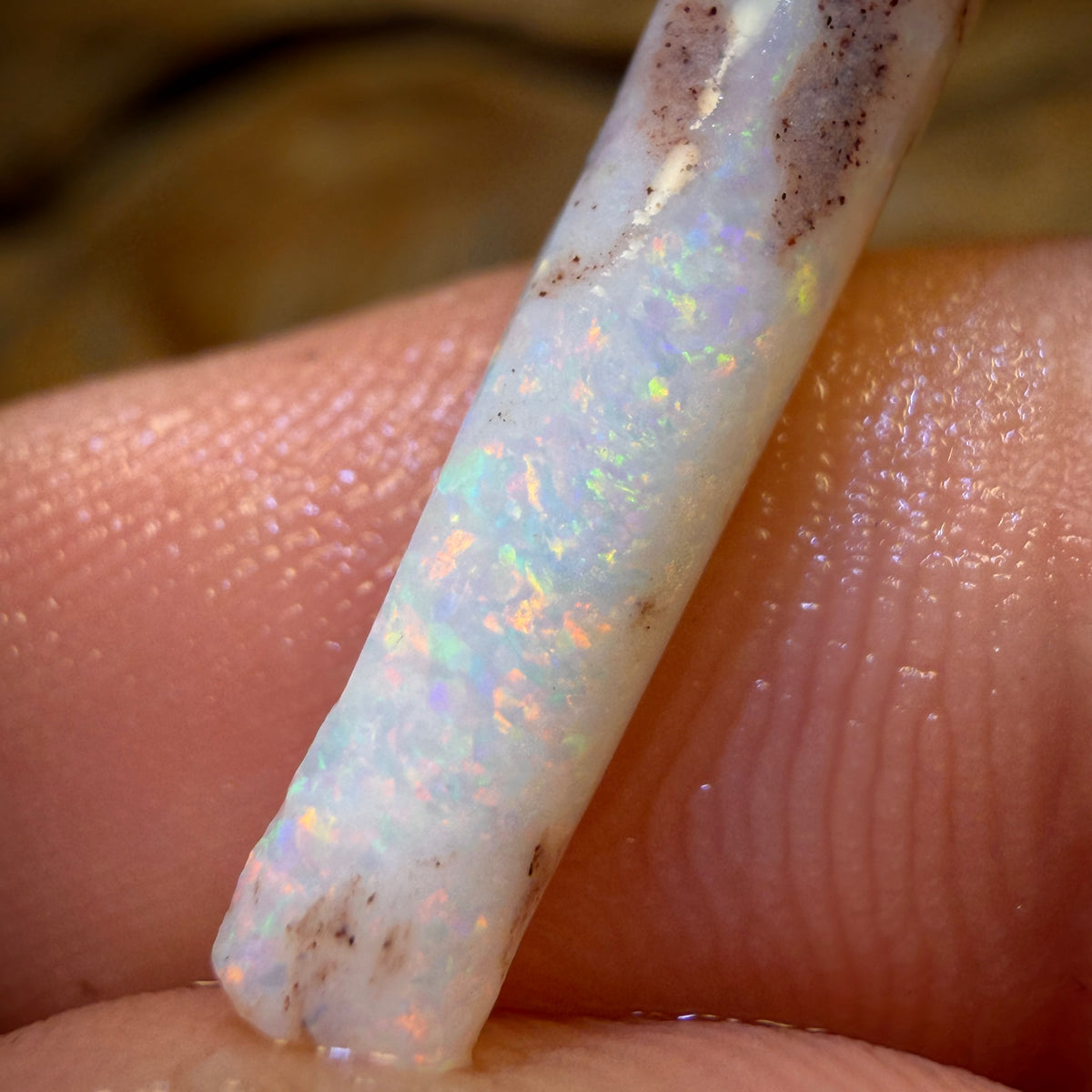 Wild card! 4.6cts - Opalised Belemnite Geological Specimen from South Australia