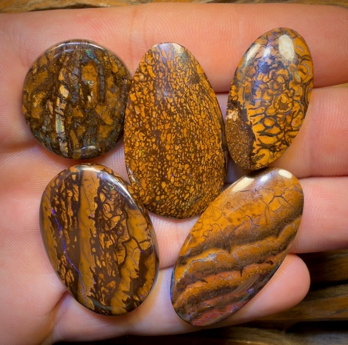 159.1cts - 5x Australian Tribal Boulder Opal’s. Wholesale Dealers Parcel