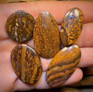 159.1cts - 5x Australian Tribal Boulder Opal’s. Wholesale Dealers Parcel
