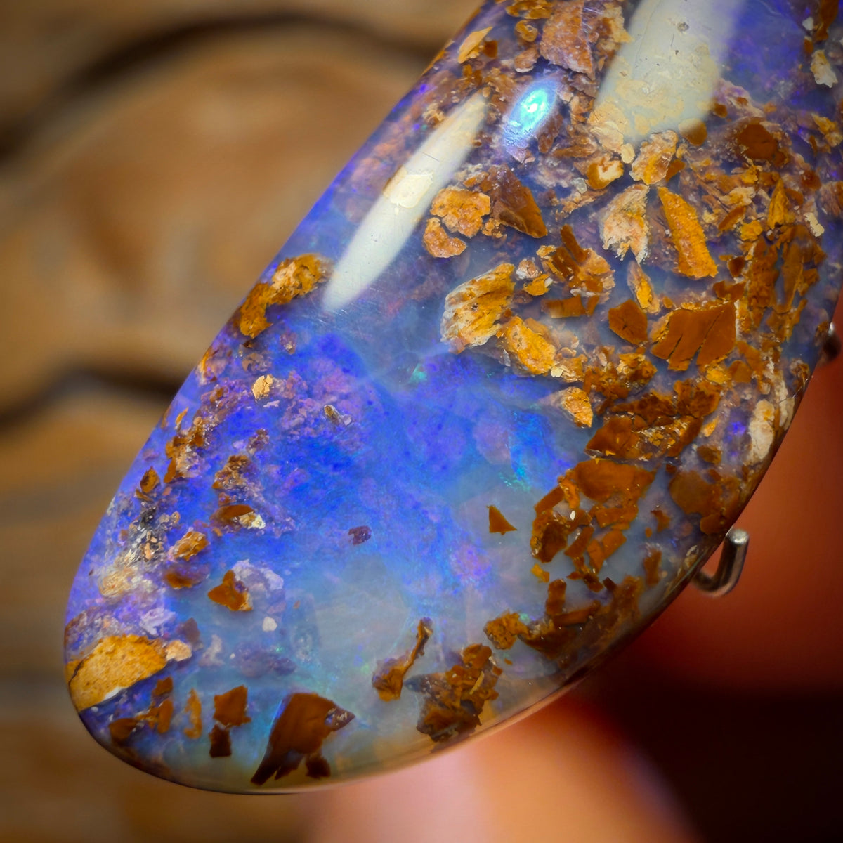 10.2cts - Wood Fossil Replacement Boulder Opal from Yowah