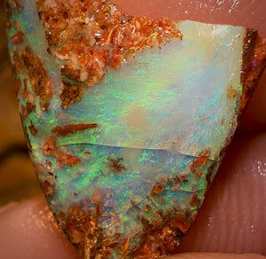 10.3cts - Queensland Boulder Pipe Opal Rough Piece