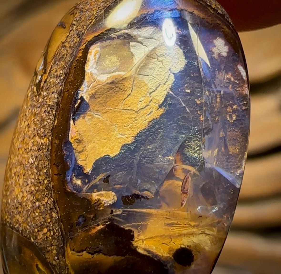 🔨 AUCTION 🔨 No Reserve 20.3cts - Yowah Nut Kernel Opal. Australian Boulder Opal