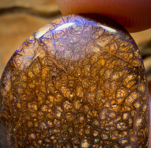 Wildcard! 78.5cts - Tribal Australian Boulder Opal from Yowah