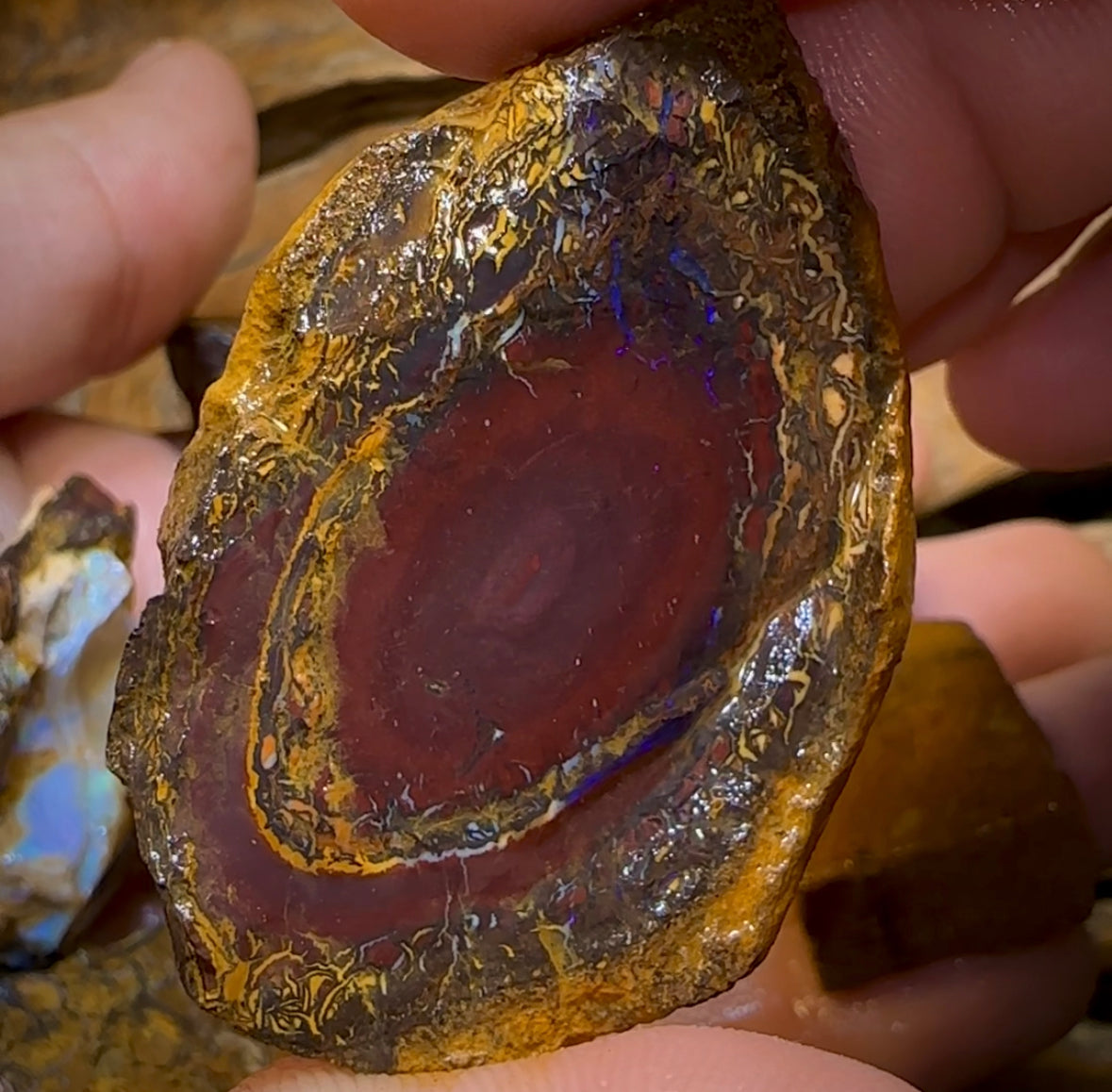 140.1g - 8x Mixed Queensland Boulder Opal Rough Pieces with Crystal Centres - Opal Whisperers