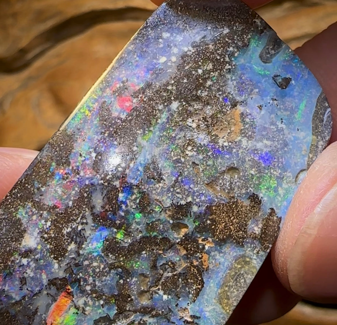 268.6cts - Large Australian Boulder Seam Opal - Opal Whisperers