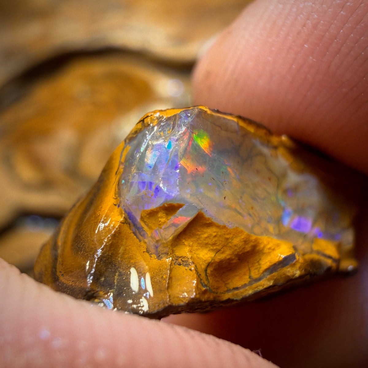 27.4cts - Yowah Nut Crystal Centre Opal Rough Half
