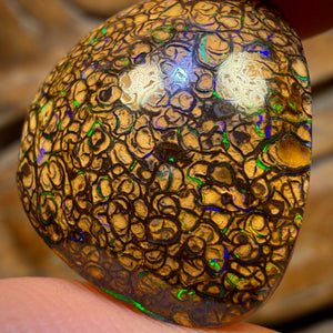 22.5cts - Tan Tribal Queensland Boulder Opal from Yowah