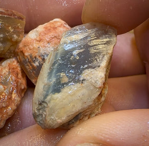 128.2cts - 6x Opalised Fossil Geological Specimens from Lightning Ridge