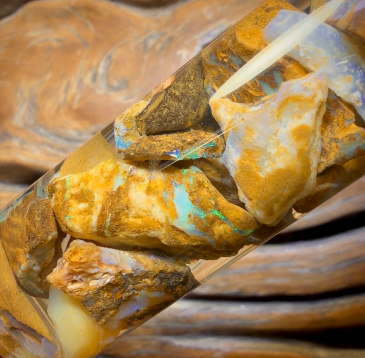 121,8 ct – Phiole mit Yowah-Nussopal-Rohstein und fossilem Opal