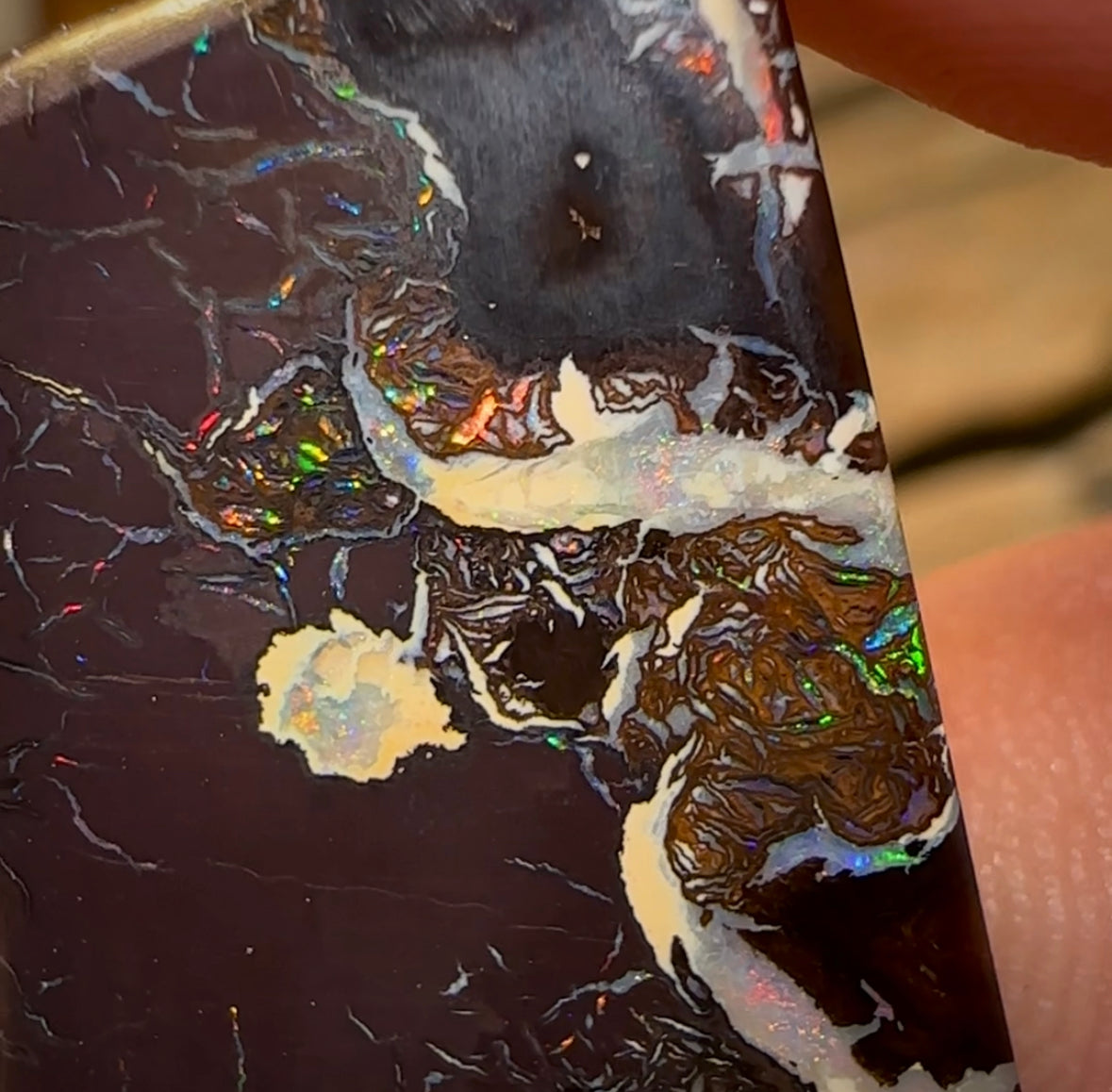 24.8cts - Queensland Boulder Opal from Koroit - Opal Whisperers