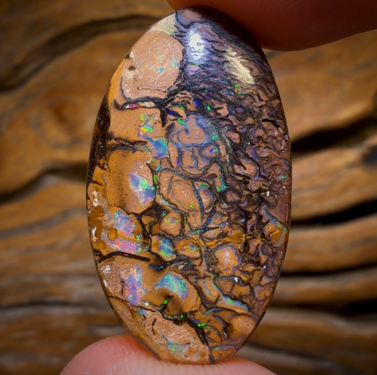 45.7cts - Tribal Australian Boulder Opal from Yowah