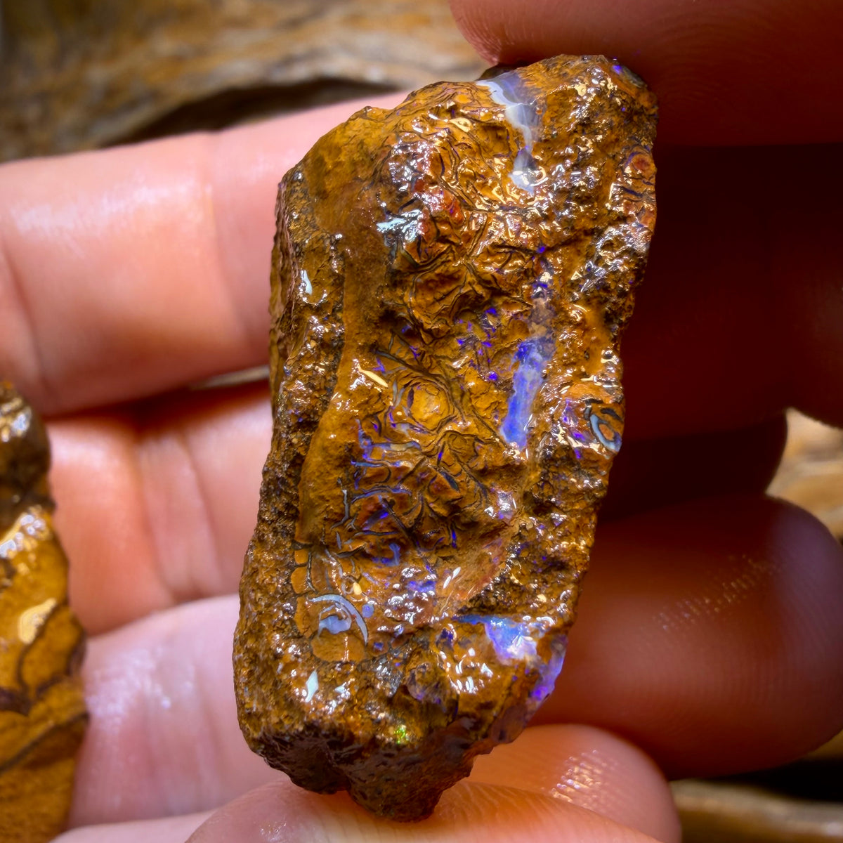 TGIF 410.1cts - 3x Yowah Nut Opal Rough Parcel. Australian Boulder Opal