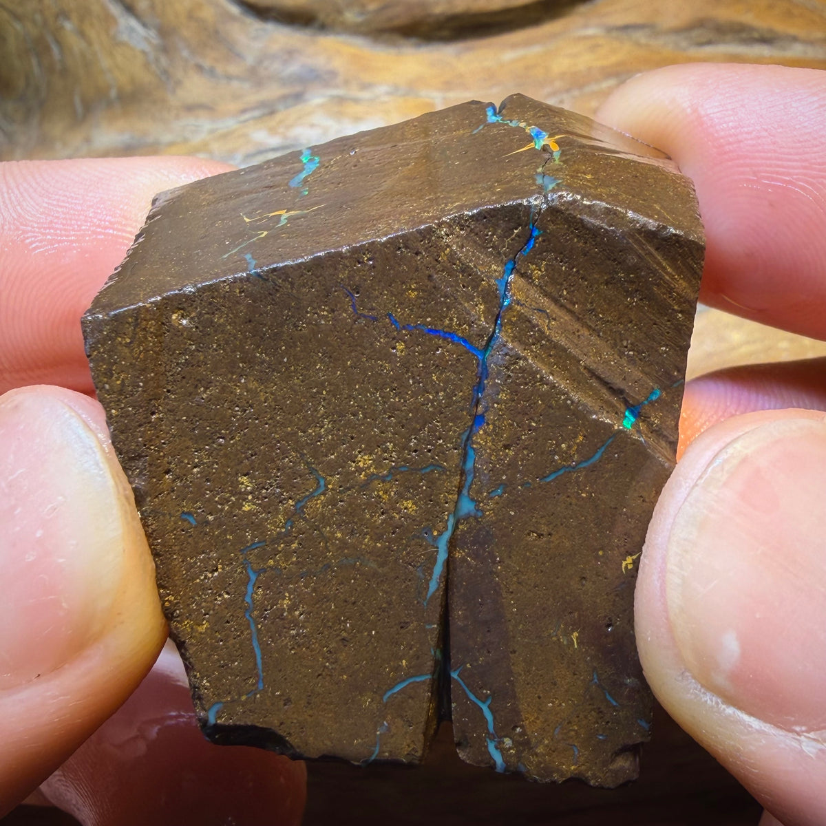 Dad Card! 293cts - Top Queensland Boulder Seam Opal Rough Pair. Natural Split