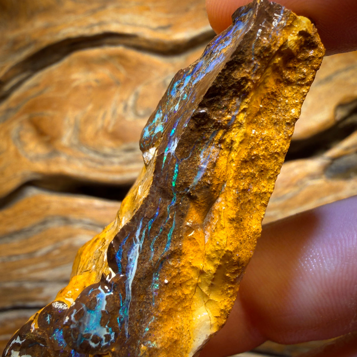 285cts - Yowah Opal Rohstück. Biskuitband