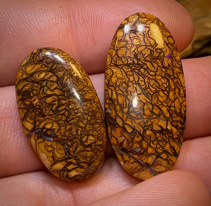🔨 AUCTION 🔨 46.2cts - Loose Queensland Boulder Opal Set