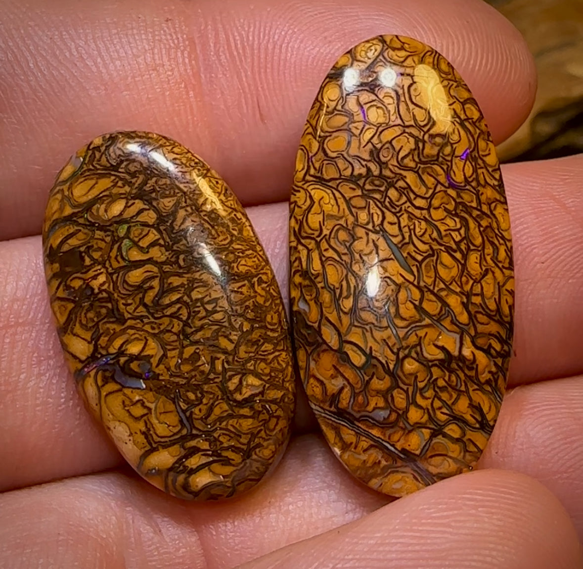 46.2cts - Loose Queensland Boulder Opal Set