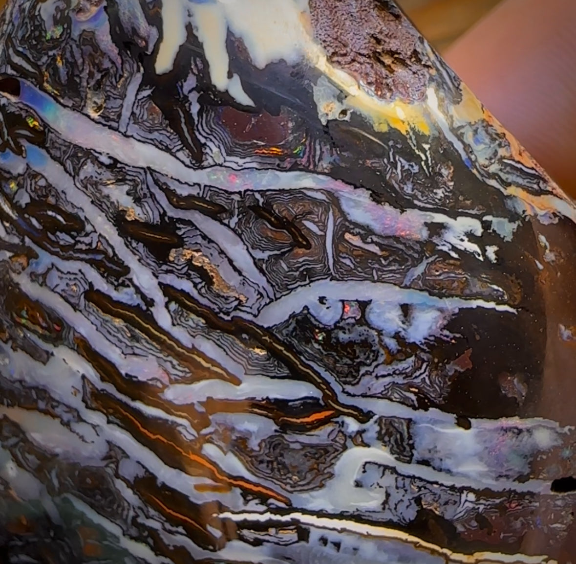 735cts - HUGE Rare Natural Broad Tribal Koroit Nut Opal Polished Specimen