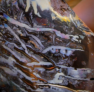 735cts - HUGE Rare Natural Broad Tribal Koroit Nut Opal Polished Specimen