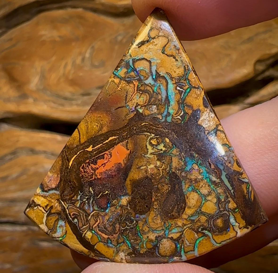51.2cts - “Tribal Triangle 2”Queensland Boulder Opal from Yowah