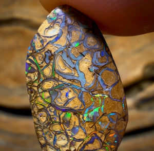 Wildcard! 13.3cts - Tan Tribal Australian Boulder Opal from Yowah