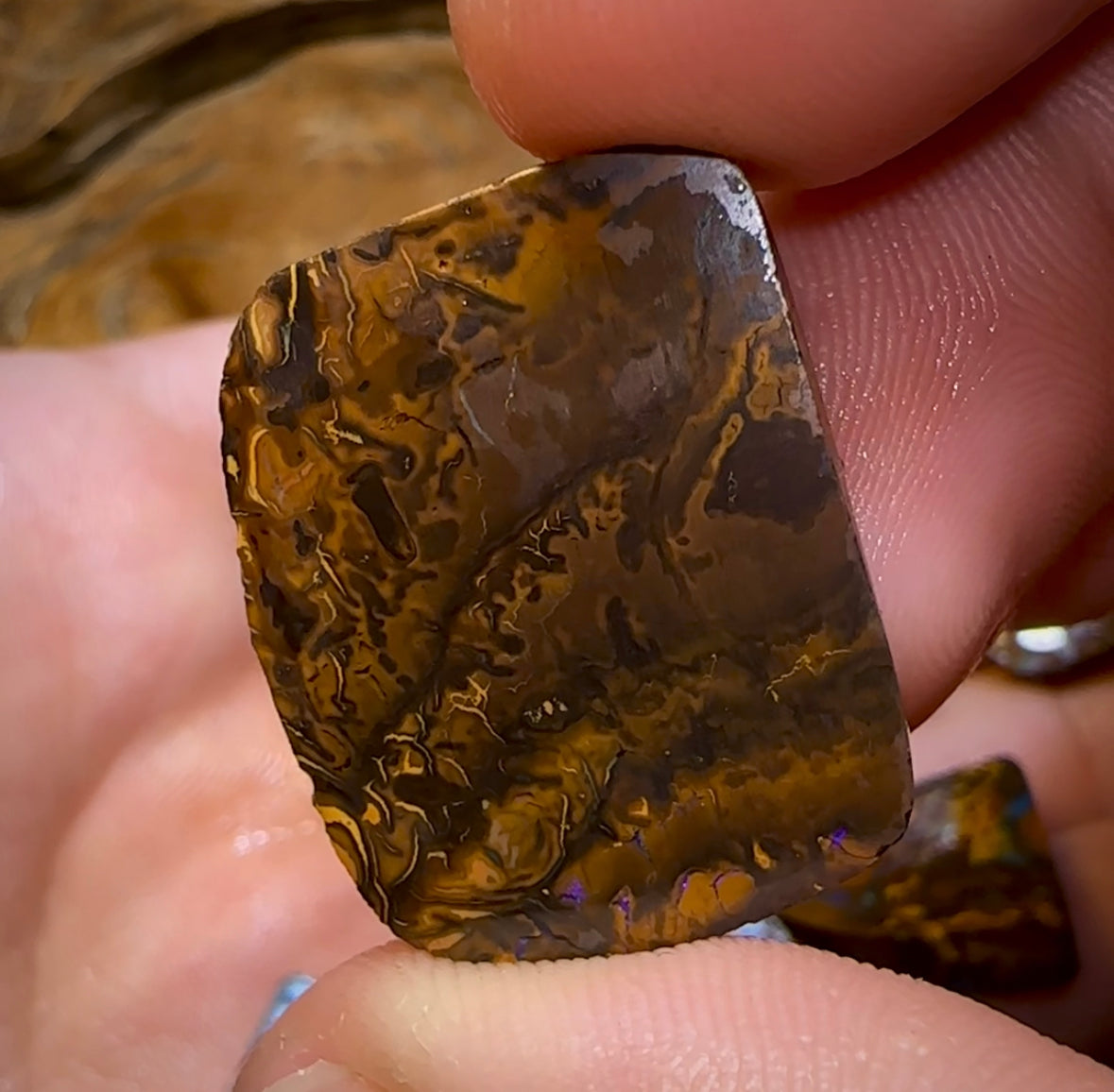 165cts - 8x Koroit Nut Rubs. Australian Boulder Opal - Opal Whisperers