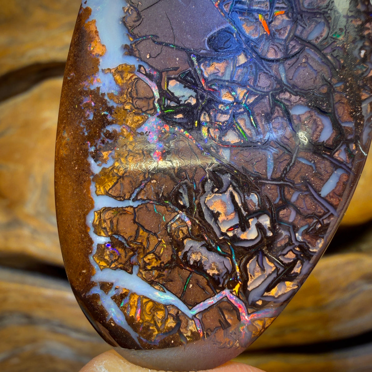 OpalFest 70% Off Banger WildCard! 119.9cts - Large Tribal Yowah Nut Opal. Australian Boulder Opal With Red