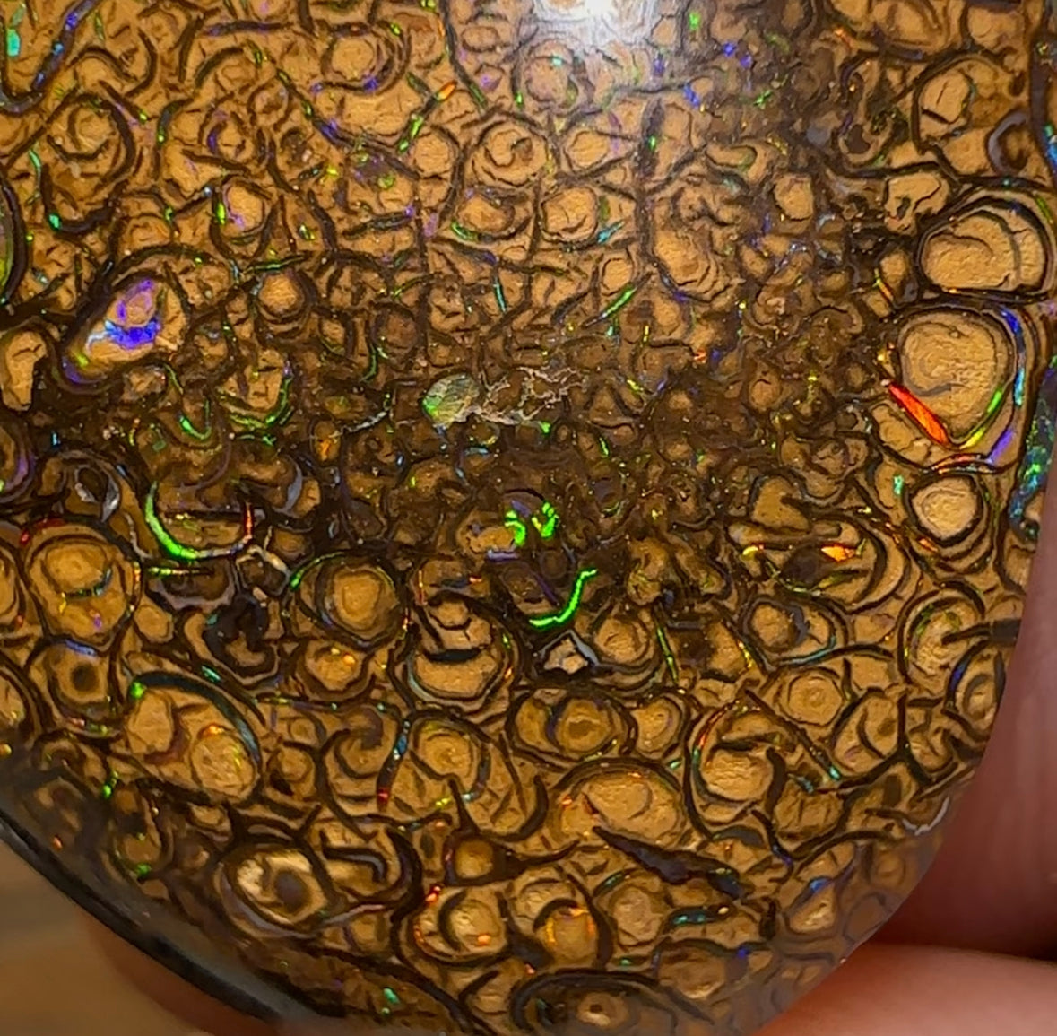 41.9cts - Yowah Boulder Opal. Tight Pattern Tan Tribal Australian Opal - Opal Whisperers