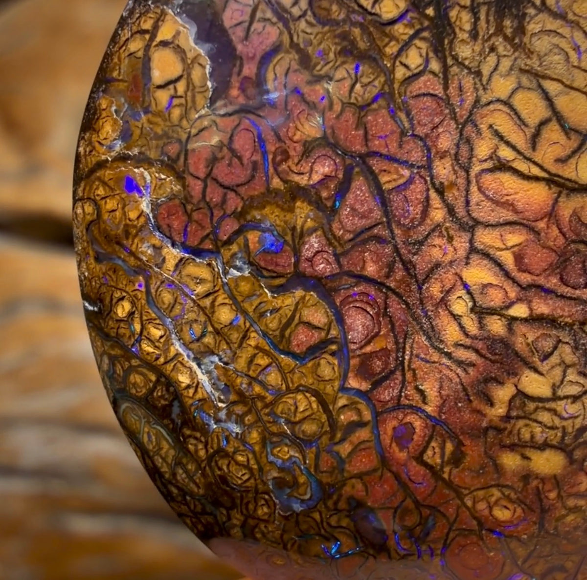 69,9 ct – Tribal Yowah Nut Opal. Australischer Opal.