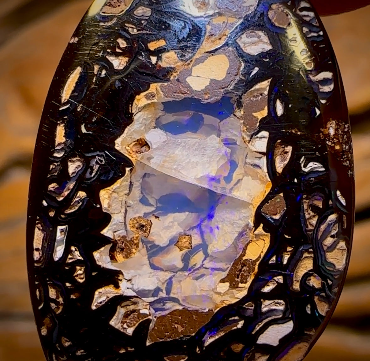 42.7cts - RARE Koroit Nut Crystal Centre Opal