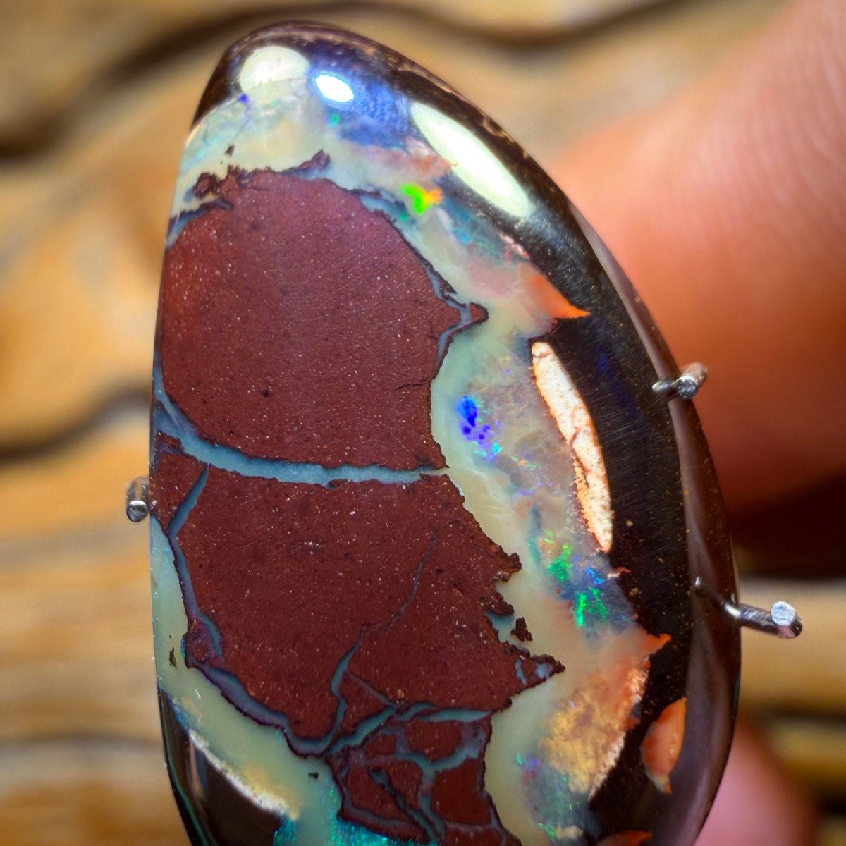 9.6cts - Yowah Nut Kernel Opal. Australian Boulder Opal