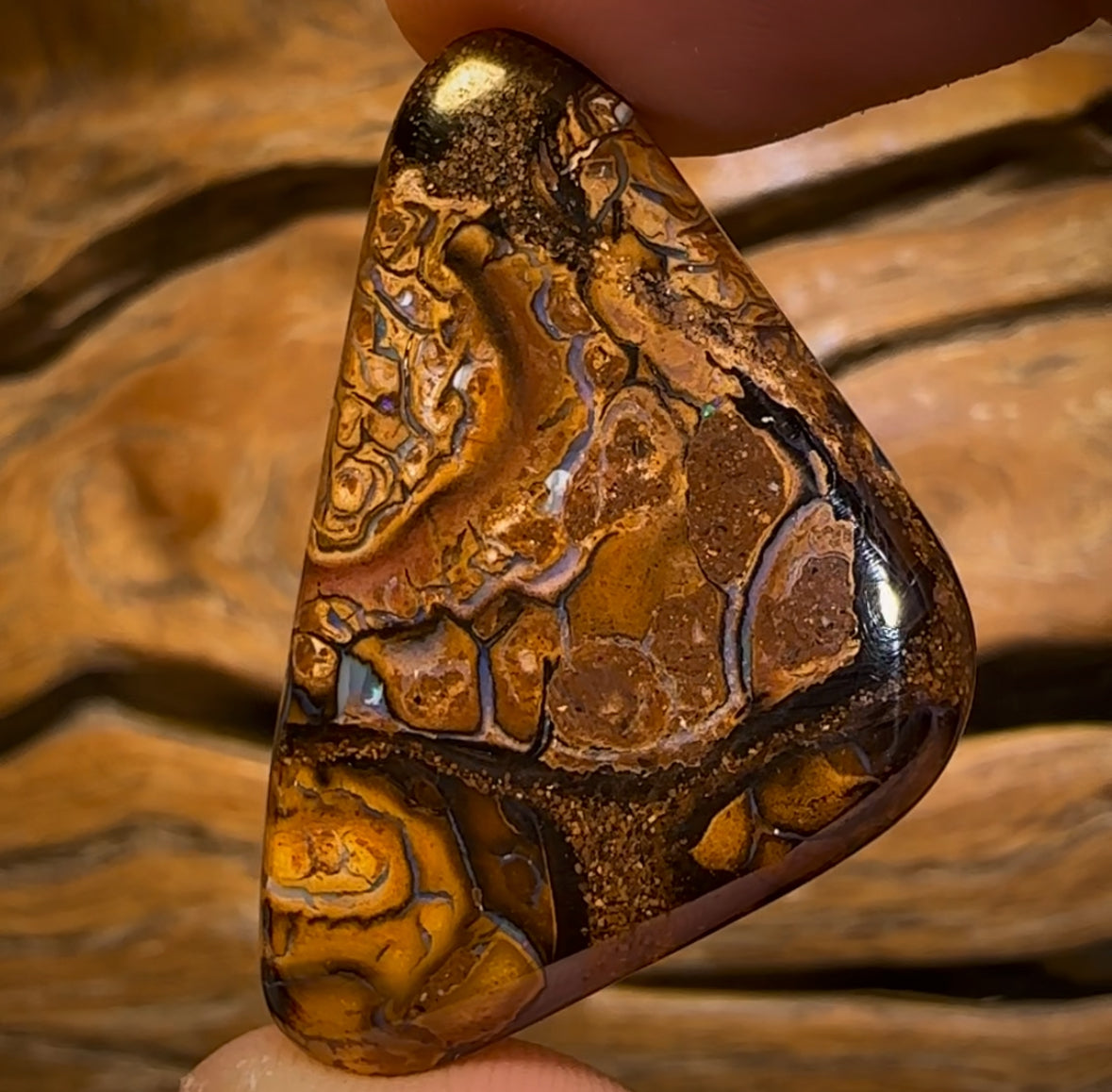 42.3cts - Queensland Boulder Opal. Yowah Tribal