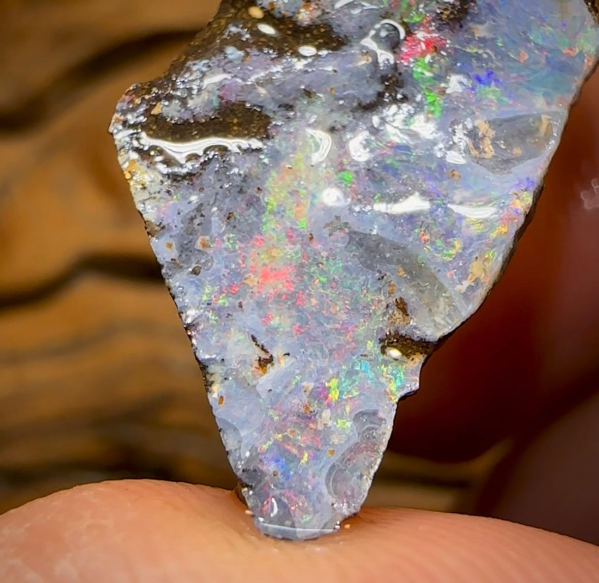 16.5cts - Australian Boulder Opal Rough Preform. Natural Split - Opal Whisperers