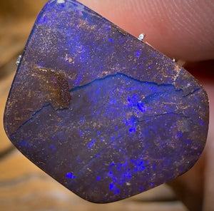 🔨 AUCTION 🔨 16.1cts - Queensland Boulder Seam Opal