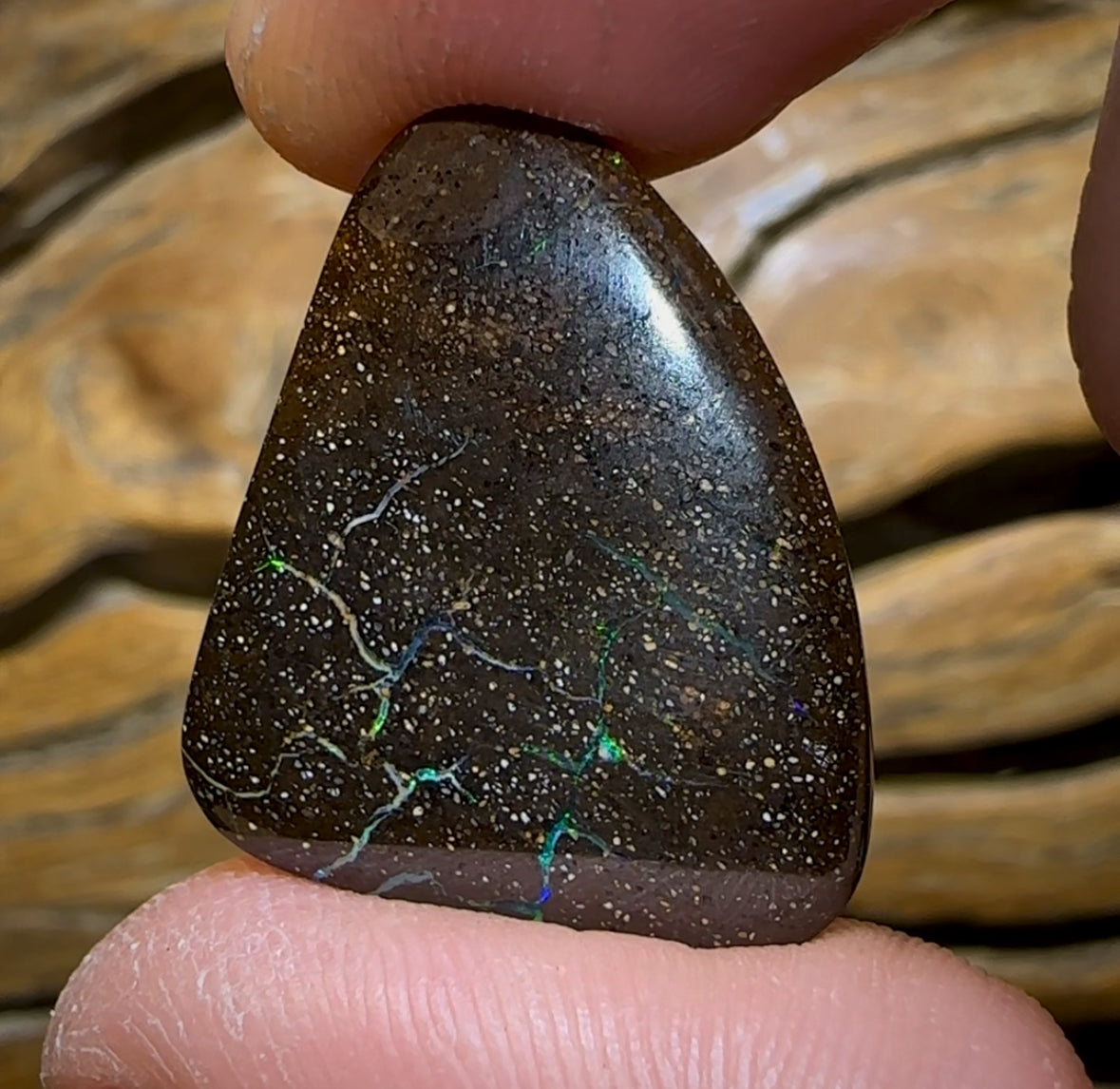 Auction Fall-Through = Your Gain! 🔥 Now More Than 50% Off RRP 🚨 19.4cts - Queensland Boulder Seam Opal