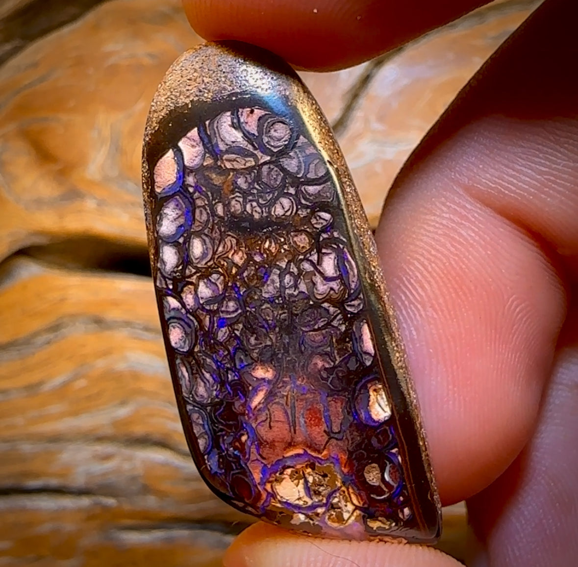 52.2cts - Tribal Yowah Nut Opal. Australian Opal