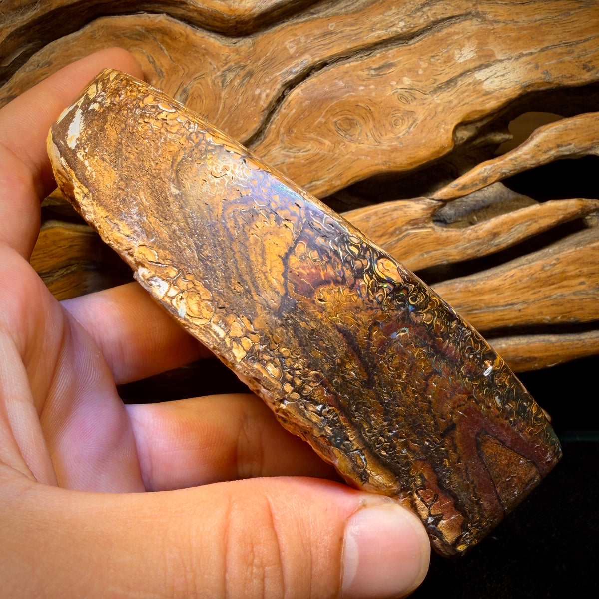 2082cts - HUGE Tribal Australian Boulder Opal Polished Specimen