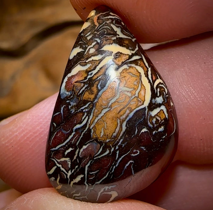 19.3cts - Top Tribal Pattern Koroit Nut Opal - Opal Whisperers